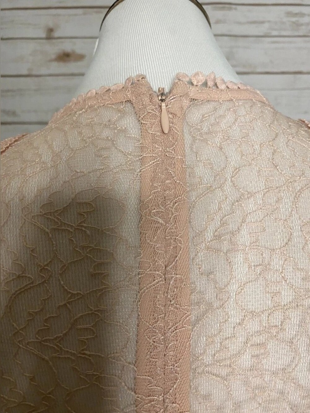Sleeveless Lace Peplum Blouse in Light Blush - Picture 4 of 4